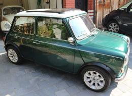 Mini 1000 Racing Green