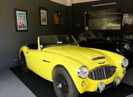 Austin Healey 3000 MK1 BJ7