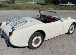 Austin Healey Sprite Frogeye MK1