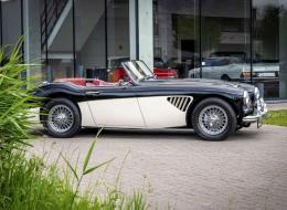 Austin Healey 100 / 6