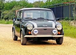 Mini 1000