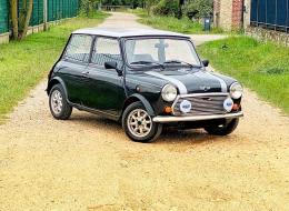 Mini 1000