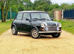 Mini 1000