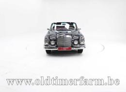 Mercedes-Benz SE 220 '63 CH8952
