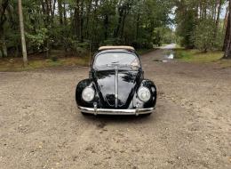 Volkswagen Coccinelle Découvrable