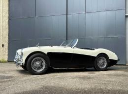Austin Healey 100