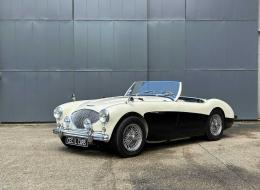 Austin Healey 100