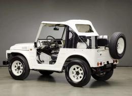 Suzuki LJ 80 “MCM Fashion”