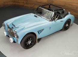 Austin Healey 3000 MKII