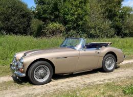 Austin Healey 3000 BJ.8