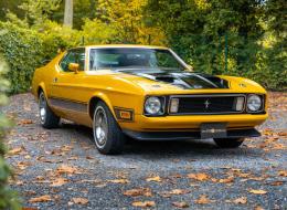 Ford Mustang Mach 1 V8 351