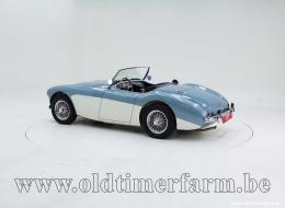 Austin Healey 100 /4 BN1 '54 CH4168