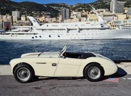 Austin Healey 100 M LE MANS USINE