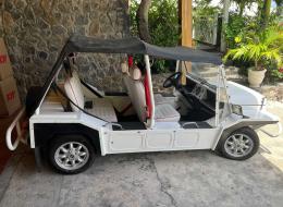 Mini moke Classic