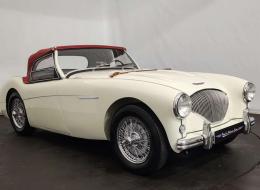 Austin Healey 100 / 4 BN2 kit Le Mans 