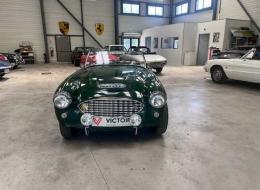 Austin Healey 100 / 6 BN4