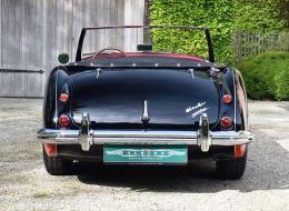 Austin Healey 3000 Mk1 BT7