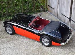 Austin Healey 3000 Mk1 BT7