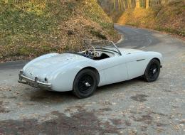 Austin Healey 100 / 4 BN1 - KIT 100M