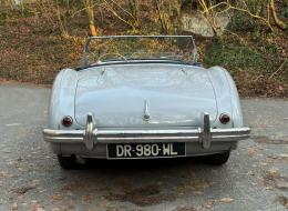 Austin Healey 100 / 4 BN1 - KIT 100M