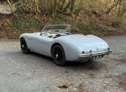 Austin Healey 100 / 4 BN1 - KIT 100M