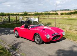Sammio Spyder