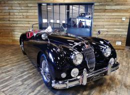 Jaguar Série - XK 140 OTS SE Roadster