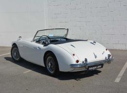 Austin Healey 100 BN6