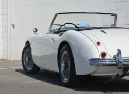 Austin Healey 100 BN6