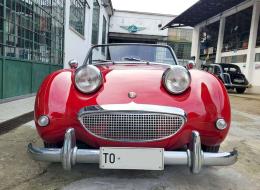 Austin Healey Sprite Frogeye MKI