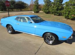 Ford Mustang FASTBACK 