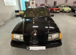 Mercedes-Benz TE 300
