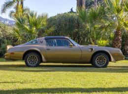 Pontiac Trans Am Solar Gold Edition Y88