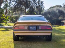 Pontiac Trans Am Solar Gold Edition Y88