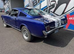 Ford Mustang FASTBACK V8 289