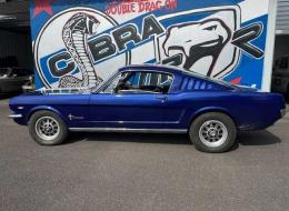 Ford Mustang FASTBACK V8 289