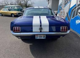 Ford Mustang FASTBACK V8 289