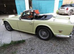 Triumph TR250
