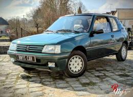 Peugeot 205 Roland Garros