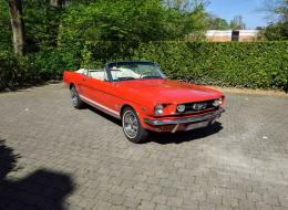Ford Mustang V8 289ci 