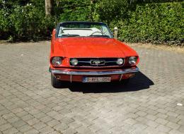 Ford Mustang V8 289ci 