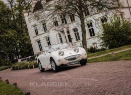 Austin Healey Sprite Frogeye MK1