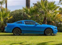 Ford Mustang GT500 SHELBY SVT