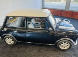 Mini 1000