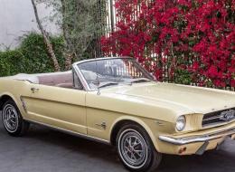 Ford Mustang C code