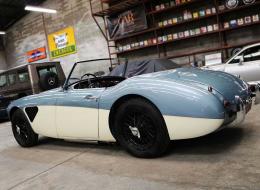 Austin Healey 100 / 6 BN4
