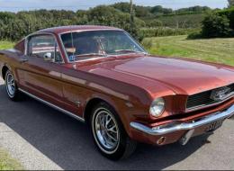 Ford Mustang Faceback V8 . 289