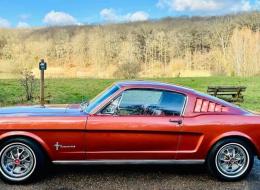 Ford Mustang Faceback V8 . 289