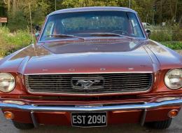 Ford Mustang Faceback V8 . 289