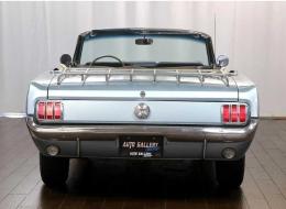 Ford Mustang 289